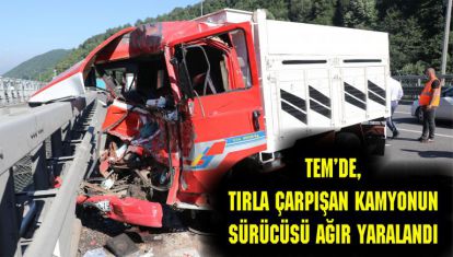 TEM'de, tırla çarpışan kamyonun sürücüsü ağır yaralandı