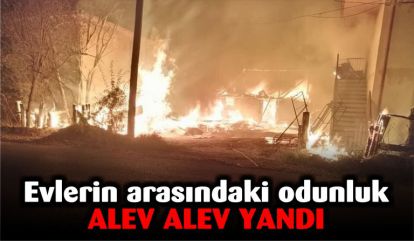 Evlerin arasındaki odunluk alev alev yandı