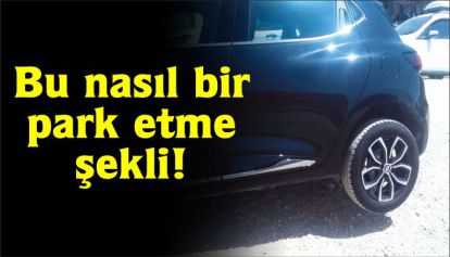 Bu nasıl bir park etme şekli