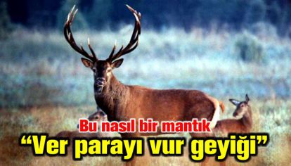 Ver parayı Vur geyiği