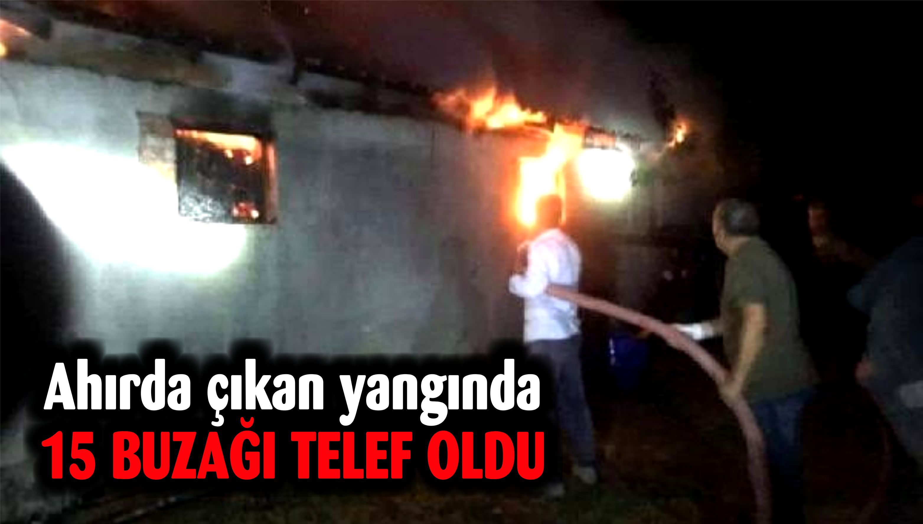 Ahırda çıkan yangında 15 buzağı telef oldu