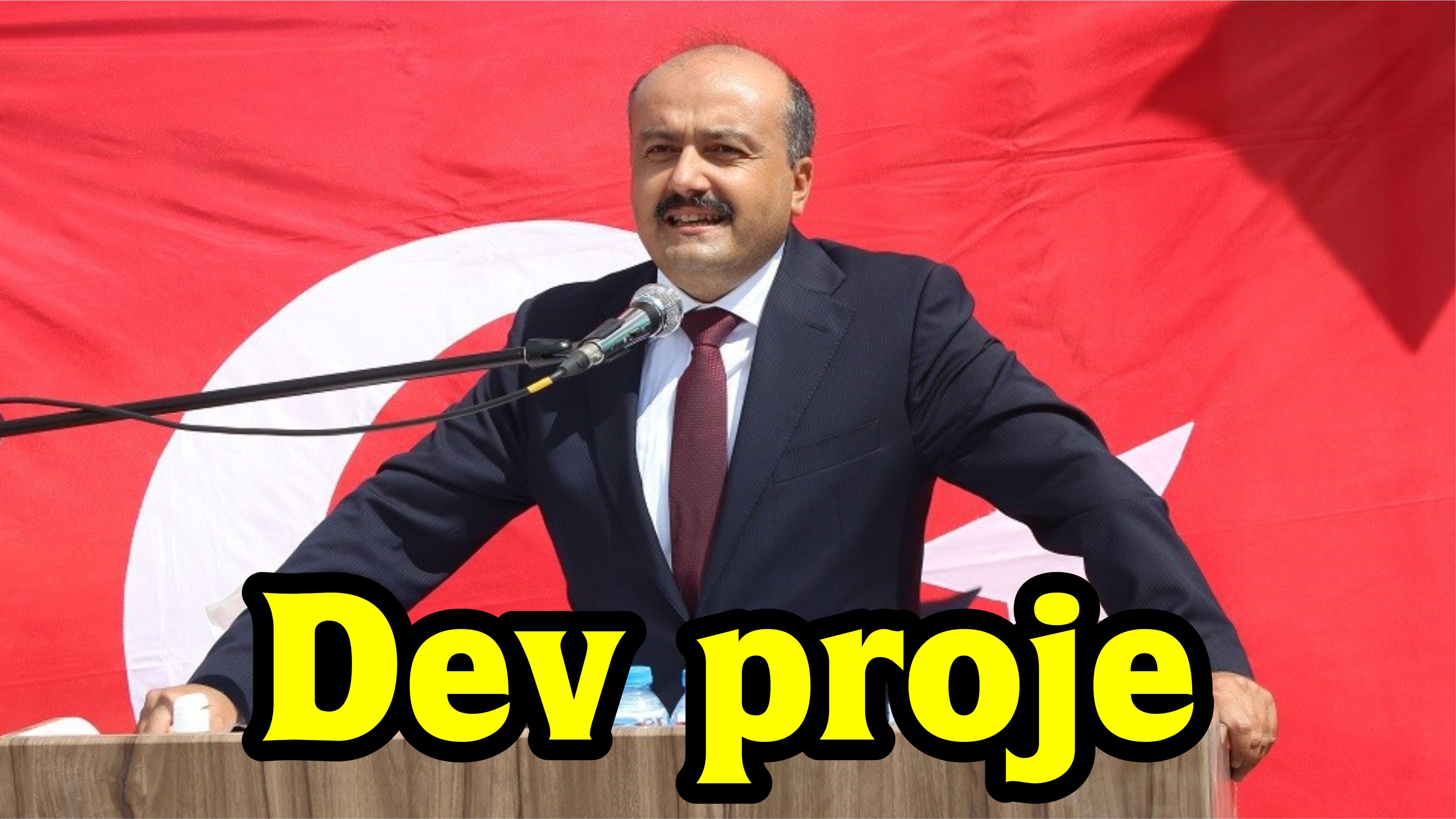 Dev proje