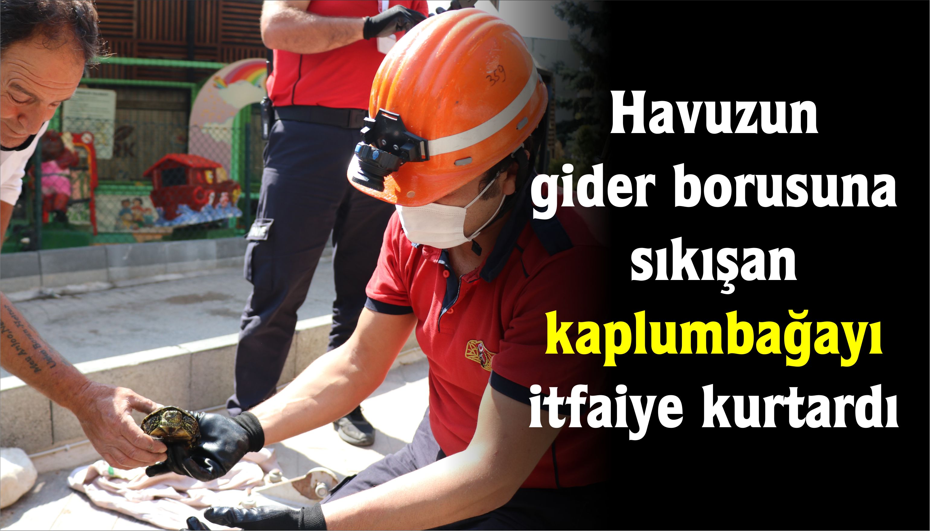 Havuzun gider borusuna sıkışan kaplumbağayı itfaiye kurtardı