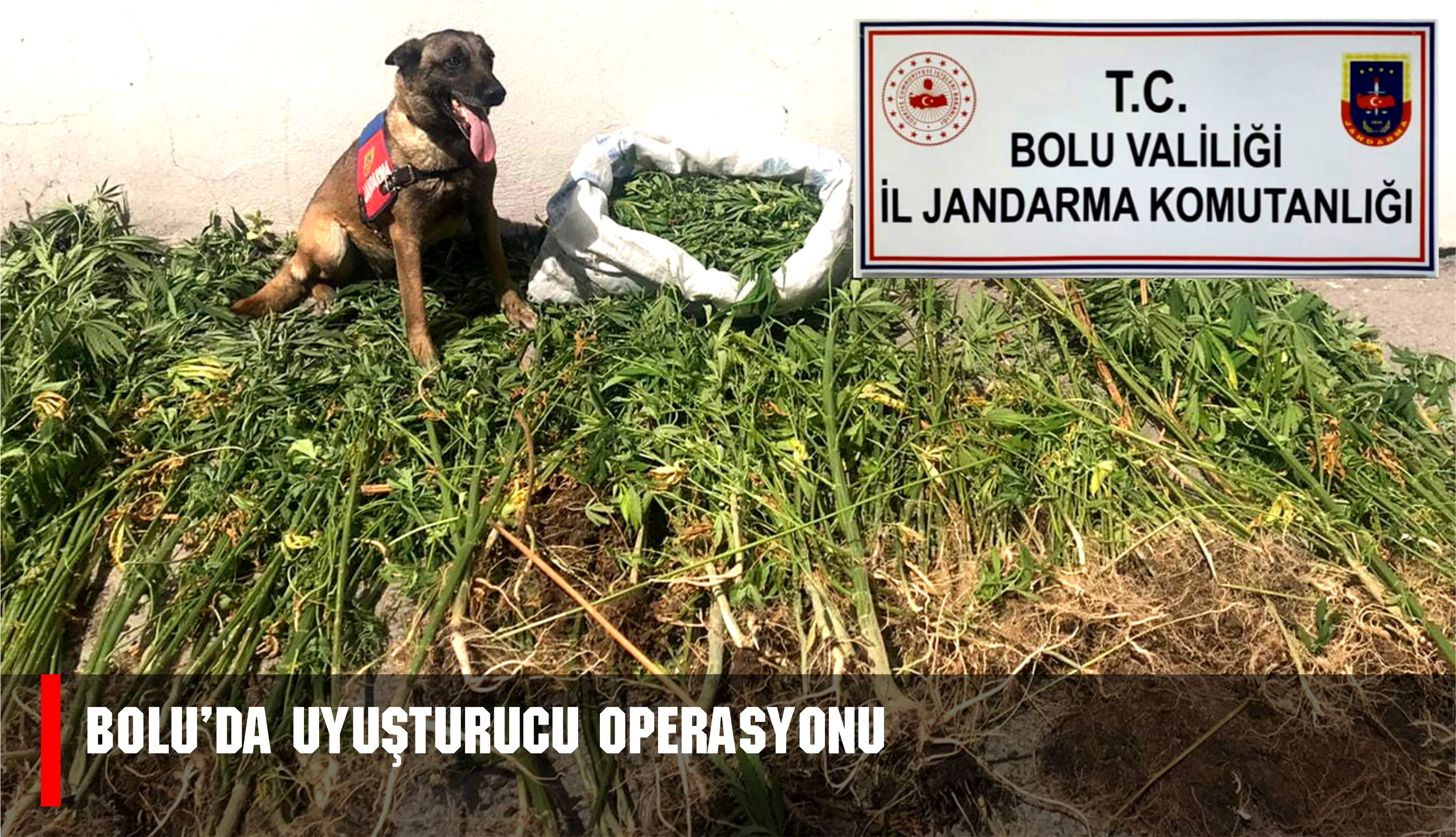 Bolu’da uyuşturucu operasyonu: 3 tutuklama