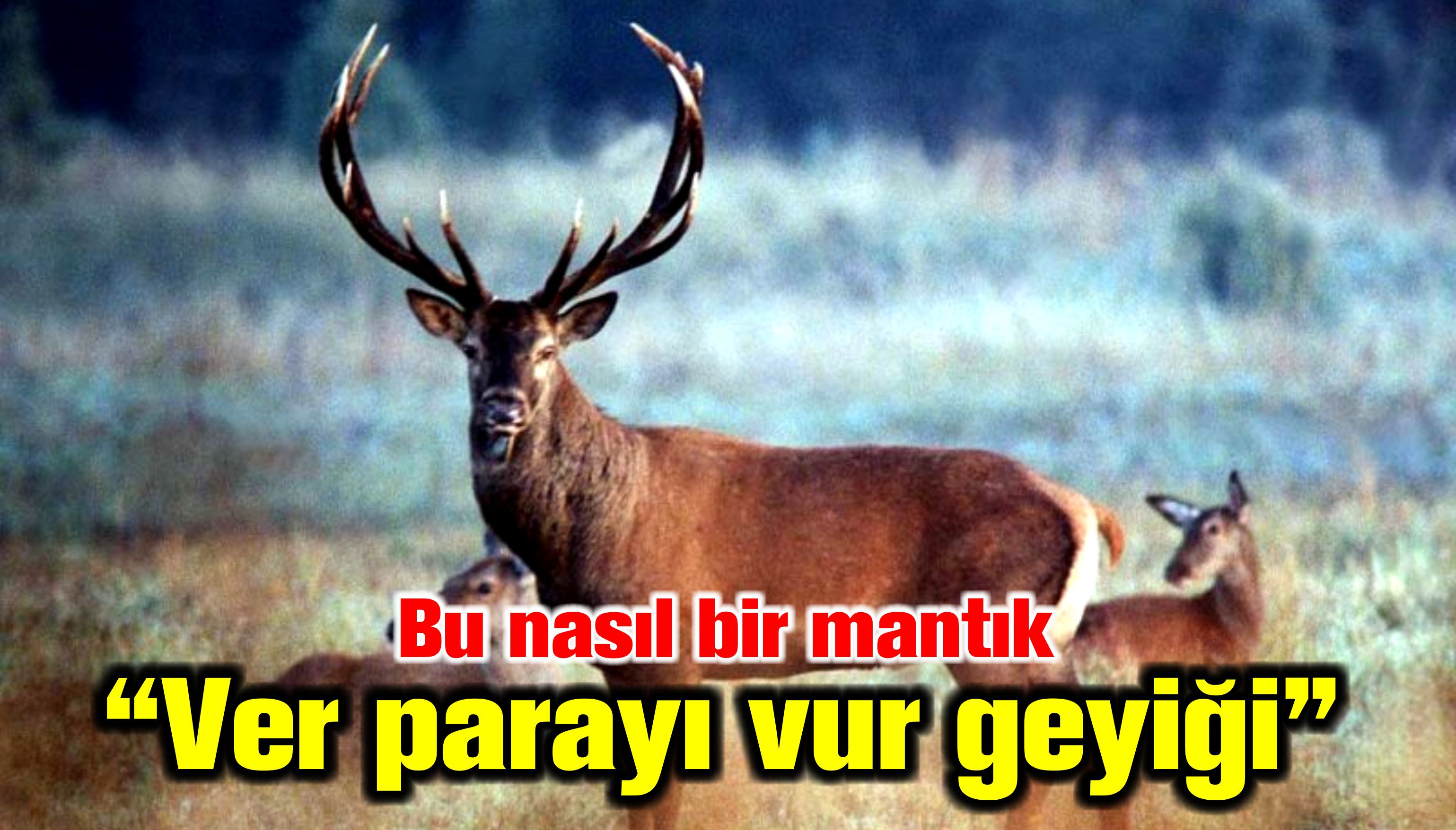 Ver parayı Vur geyiği