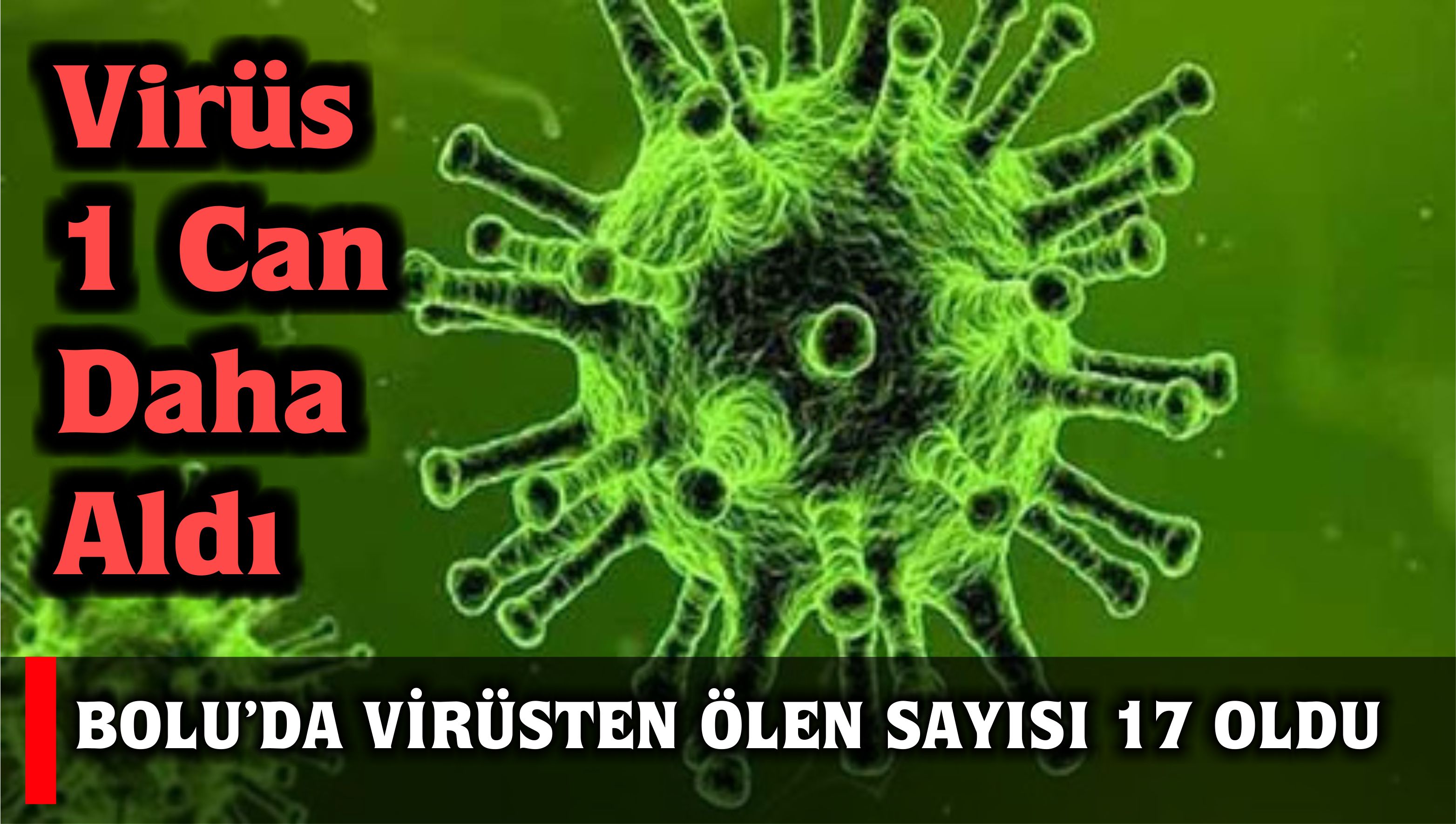 BOLU’DA VİRÜSTEN ÖLEN SAYISI 17 OLDU