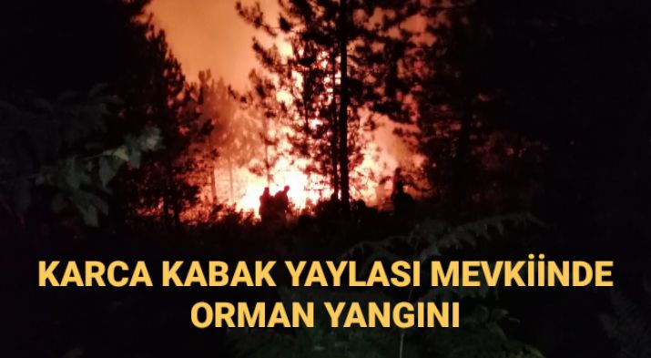 Karca Kabak yaylası mekiinde orman yangını