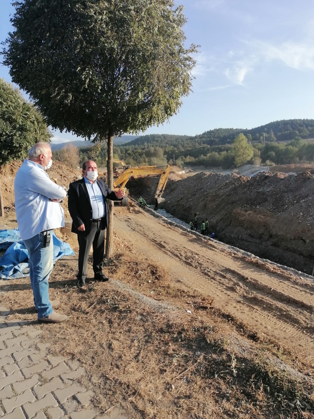 Kazandığı mahkeme kararını ağaçlara asan başkan