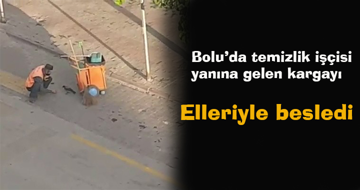 Bolu’da temizlik işçisi yanına gelen kargayı elleriyle besledi