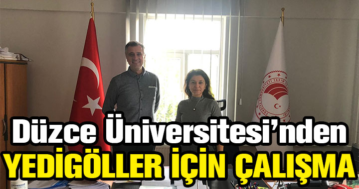 YEDİGÖLLER İÇİN ÇALIŞMA