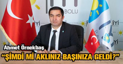 ŞİMDİ Mİ AKLINIZ BAŞINIZA GELDİ?