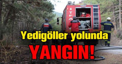 YEDİGÖLLER YOLUNDA YANGIN ÇIKTI