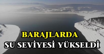 YABAN HAYVANLARI İÇİN DOĞAYA YEM BIRAKILDI