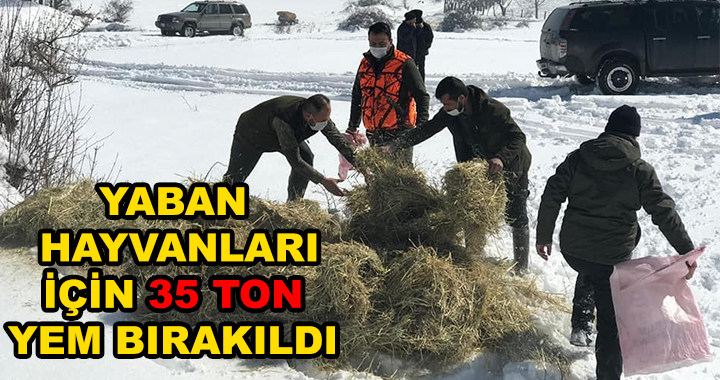 YABAN HAYVANLARI İÇİN YEM BIRAKILDI