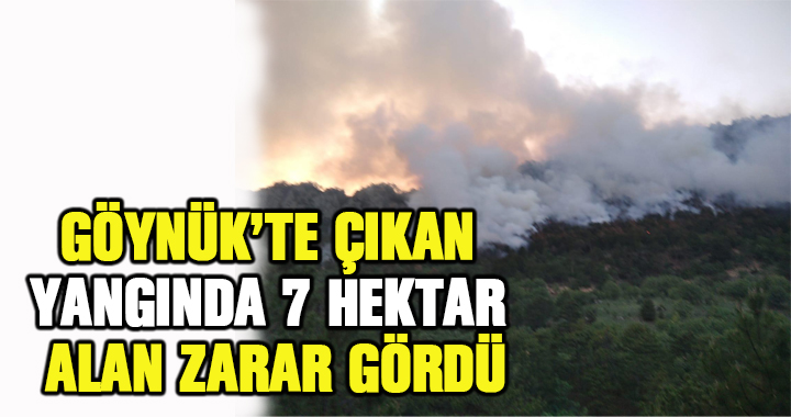 Göynük'te çıkan orman yangınında 7 hektar alan zarar gördü