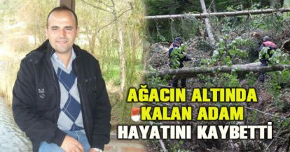 Devrilen ağacın altında kalan işçi hayatını kaybetti