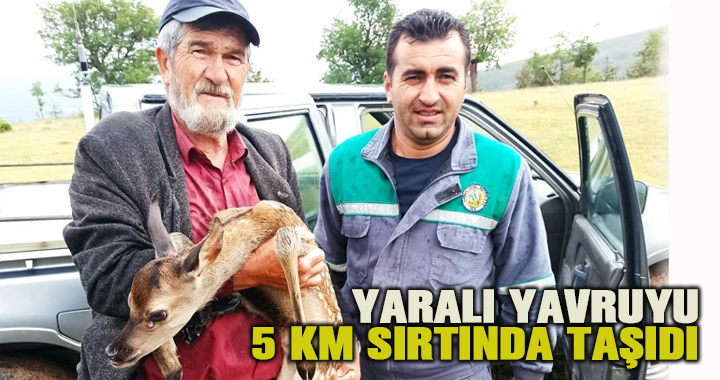 Yaralı bulduğu geyik yavrusunu sırtında 5 kilometre taşıdı