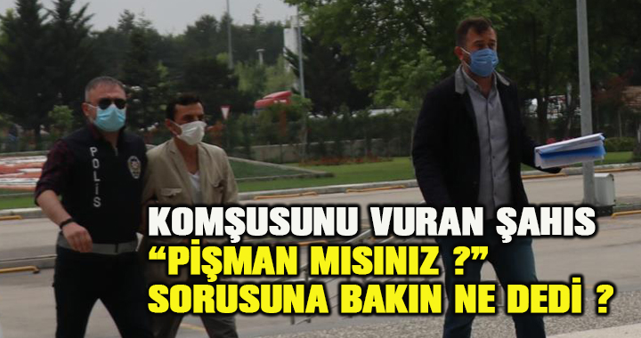 Kedisini öldüren köpeğin sahibini vuran şahıs adliyeye sevk edildi