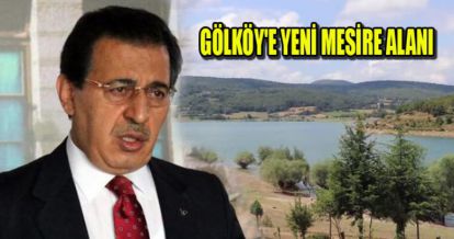 GÖLKÖY'E YENİ MESİRE ALANI