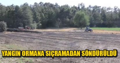 Yangın Ormana Sıçramadan Söndürüldü