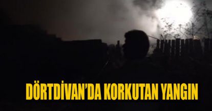 DÖRTDİVAN'DA KORKUTAN YANGIN