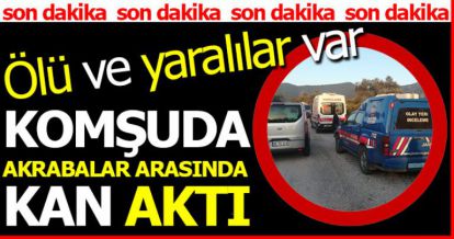 KOMŞU'DA AKRABALAR ARASINDA KAN AKTI!