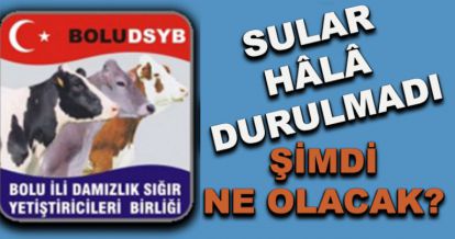 Şimdi ne olacak?