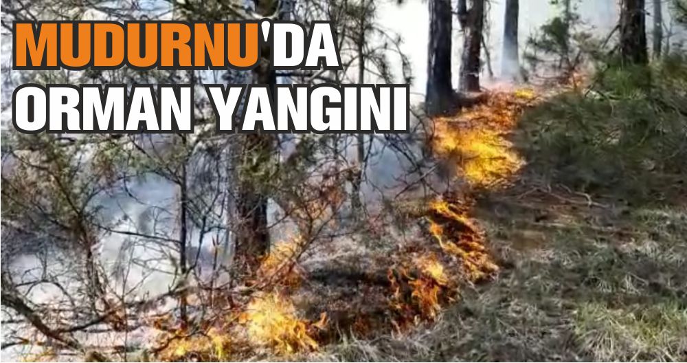 MUDURNU'DA ORMAN YANGINI