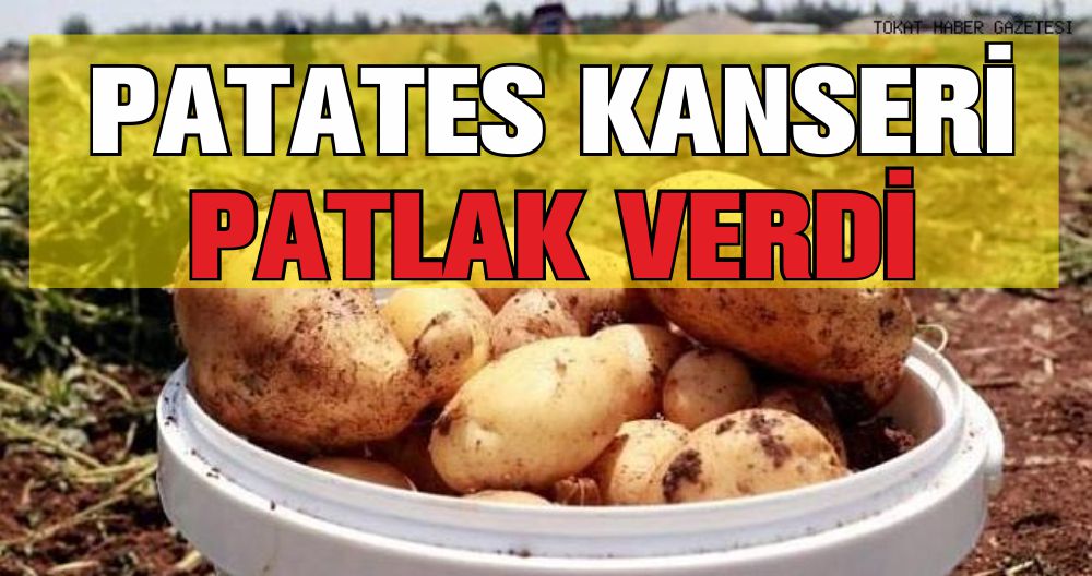 PATATES KANSERİ PATLAK VERDİ