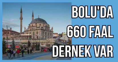 BOLU'DA 660 FAAL DERNEK VAR