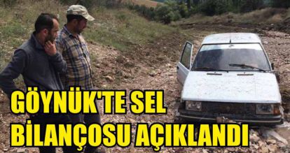 GÖYNÜK'TE SEL BİLANÇOSU AÇIKLANDI