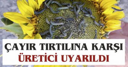 ÇAYIR TIRTILINA KARŞI ÜRETİCİ UYARILDI