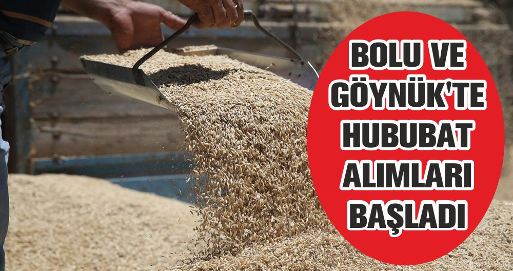 BOLU VE GÖYNÜK'TE HUBUBAT ALIMLARI BAŞLADI