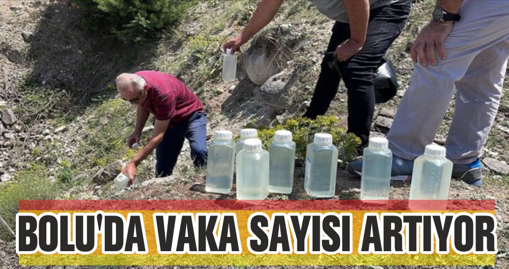 BOLU'DA VAKA SAYISI ARTIYOR