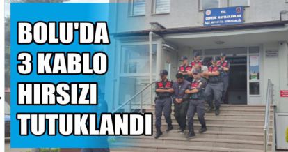 BOLU'DA 3 KABLO HIRSIZI TUTUKLANDI