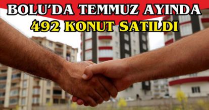 BOLU'DA TEMMUZ AYINDA 492 KONUT SATILDI