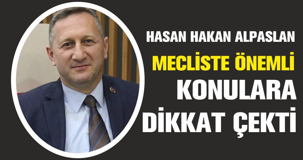 HASAN HAKAN ALPASLAN MECLİSTE ÖNEMLİ KONULARA DİKKAT ÇEKTİ