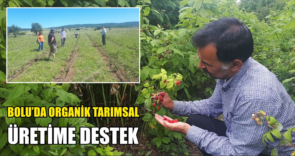 BOLU’DA ORGANİK TARIMSAL ÜRETİME DESTEK