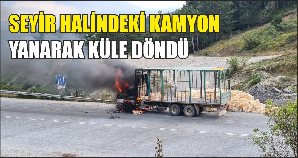 SEYİR HALİNDEKİ KAMYON YANARAK KÜLE DÖNDÜ