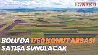 BOLU'DA 1750 KONUT ARSASI SATIŞA SUNULACAK