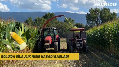 BOLU'DA SİLAJLIK MISIR HASADI BAŞLADI