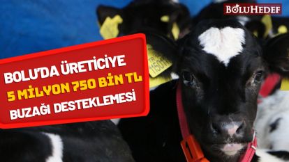 BOLU'DA ÜRETİCİYE 5 MİLYON 750 BİN TL BUZAĞI DESTEKLEMESİ