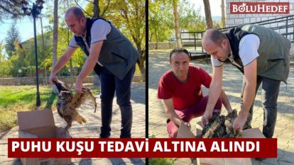 YARALI PUHU KUŞU TEDAVİ ALTINA ALINDI