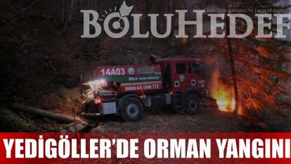 YEDİGÖLLER'DE ORMAN YANGINI