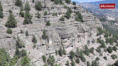 BOLU'DAKİ FOSİL ARAŞTIRMA ORMANI ZİYARETE AÇILACAK