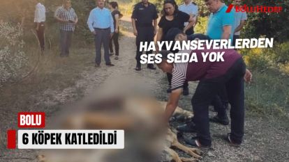 HAYVANSEVERLERDEN SES SEDA YOK