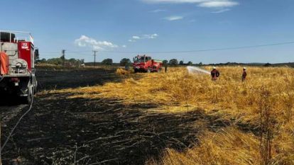 24 dekarlık buğday tarlası yandı