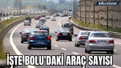 İŞTE BOLU'DAKİ ARAÇ SAYISI