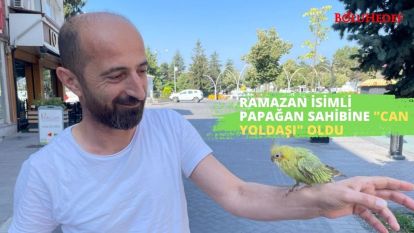 RAMAZAN İSİMLİ PAPAĞAN SAHİBİNE "CAN YOLDAŞI " OLDU