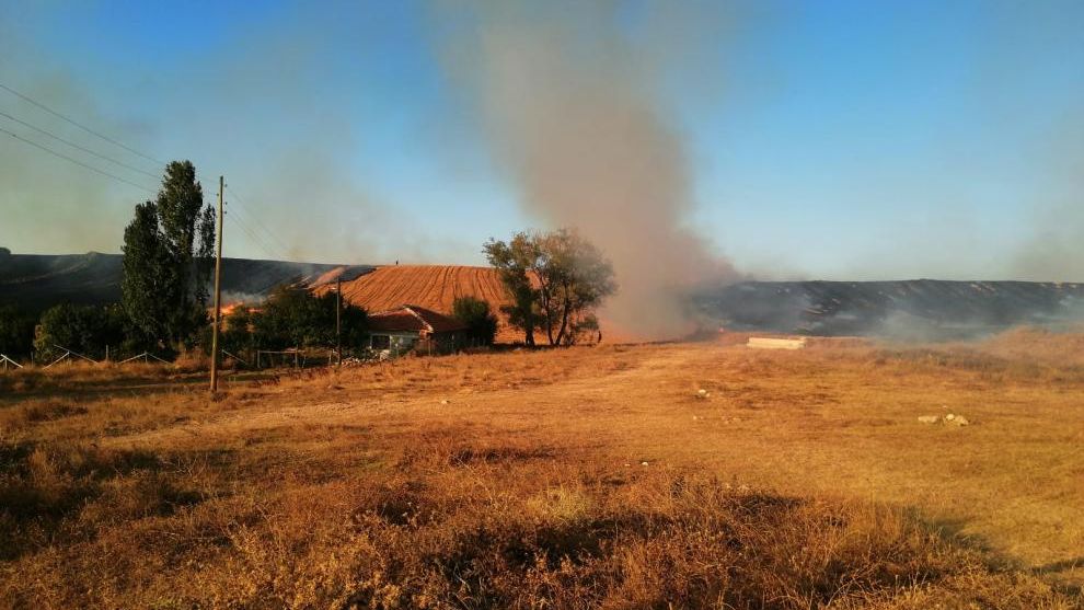 Çorum’da tarım arazisindeki anız yangınına müdahale ediliyor